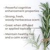 Plant Therapy Organic Rosemary Essential Oil 100% Pure, USDA Certified