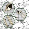 Balwoo [Made in Korea] Bamboo Design Sticky Rice Spoon Chopsticks