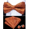 Barry.Wang Royal Blue Bow Ties for Men Pre-tied Bow Tie