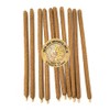 New Age Imports, Inc~ Premium Palo Santo & Cinnamon 7-8"
