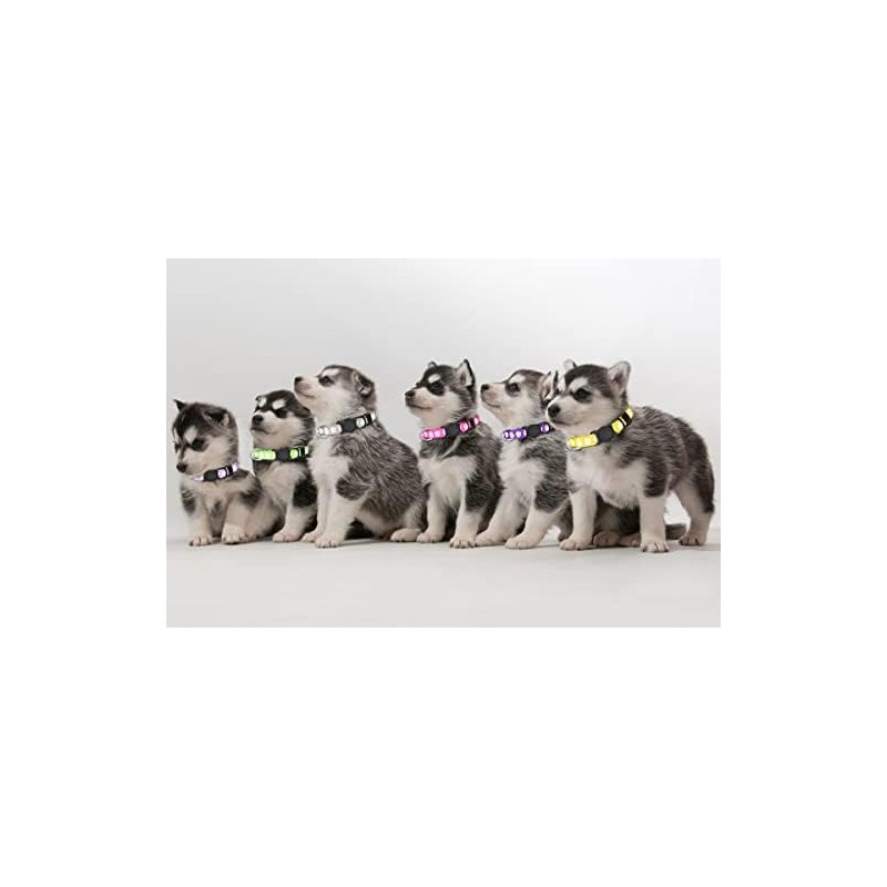 Paquete de 16 collares para cachorros, collares para cachorros, para