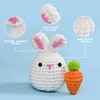 Crochet Kits for Beginners - All-in-One Stuffed Animal Knitting Sets
