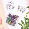 3D Dried Flowers for Nails, Dried Flowers Nail Art Stickers
