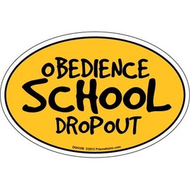Obedience School Dropout
