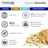 Superior Labs Boswellia Extract - Pure Non GMO Boswellic 65%