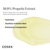 Propolis Honey Overnight Mask