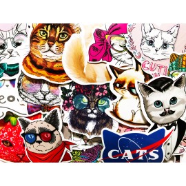 Cute Fat Grumpy Cat 50 Cute Fat Grumpy Anime Cat Kitty Stickers For Laptop Phone Girls Teens #BG