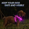 PcEoTllar Light Up Dog Harness, LED Dog Harness for Puppy