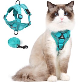 Cat Harness and Leash Set, Cat Harness with Lead, Cat Harness, Escape Proof, Adjustable Vest with Lead for Outdoor Kittens, Soft Mesh Jacket with Reflective Strips (M, Green)