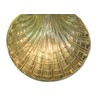 Sudbury Brass Baptismal Shell Keepsake, 5 1/2 Inch