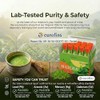 ZenRitual Organic Matcha Sticks - Convenient Single Serve Packets