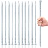 MIVIDE 12 Pack 14 Inch Silver Rebar Stakes, 1/2 Inch