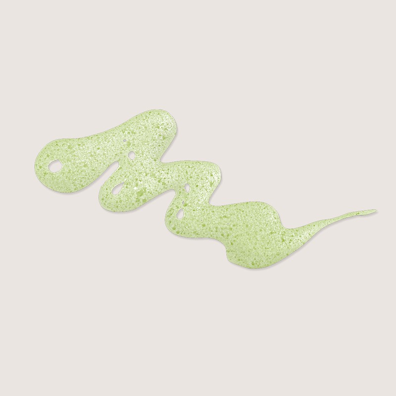 RAUSCH [Rausch] Seaweed Oily Scalp Shampoo 200ml / [라우쉬] 씨위드