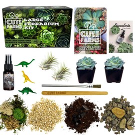 Cute Farms Terrarium Starter Kit | Moss, Vermiculite, Soil, Pebbles, Plant Food, Finishing Tools, Build and Care Guide | DIY Succulent Terrarium Kit for Adults and Kids (Large Kit + Live Plants)