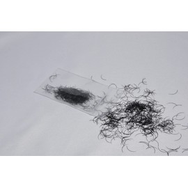 Eyelash Extension Alluring Individual Loose Lashes C Curl Thickness 0.20mm (C - 0.20 x 20mm)