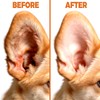 READY TO PETS Ear Cleaner – Otic Ear Care Solution