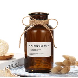 Ericotry 500ML/16.7OZ Decorative Glass Bottles Amber Glass Vase Bud Vases Apothecary Jars Vintage Glass Flower Vases with Creative Rope Design for Home Decor