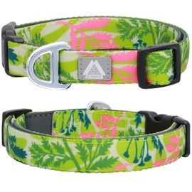JC HOUSE Small Dog Collar with Reflective Logo and Soft Padded Neoprene,Summer Tropical Leaf Design, Adjustable,Lightweight & Durable, Neck Size 9’’-14’’ (Leaf, S)