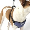 AKC Striped Step-in Dog Harness – No Pull Adjustable Vest