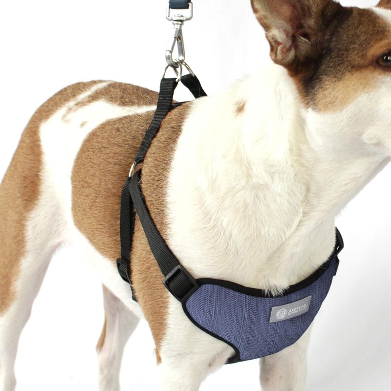 AKC Striped Step-in Dog Harness – No Pull Adjustable Vest