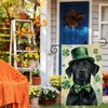 Wordatu Happy St. Patrick's Day Black Labrador Dog Garden Flag