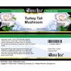 Turkey Tail Mushroom Cream (2 oz, ZIN: 521830) - 2