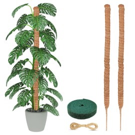EcoNour Tall Moss Pole for Plants (2-Pack) 63-Inch | Large Monstera Plant Support for Climbing and Growth | Elevate Your Indoor Garden | Tall Plant Support for Indoor Potted Plants to Grow Upwards