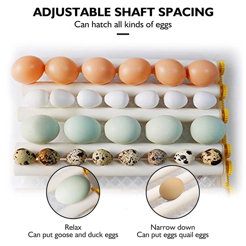 Egg Incubator,Egg Incubator with Automatic Egg Turning and Humidity Control,Poultry