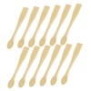 Baluue 24pcs Women Beauty Tools Makeup Spatulas Tiny Cosmetics Spoons