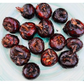 Unbranded Fresh Live Chinese Water Chestnut Bulbs Eleocharis Dulcis Ready to Plant - Brown, 6