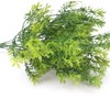 Artificial Parsley Branches, Greenery Outdoors Plants, Green Grass Branches Faux