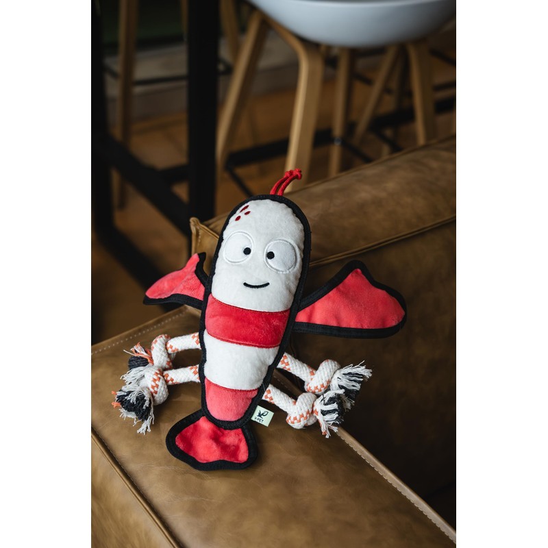Rough & Tough Plush Toy, Dog Toy, Squeaky Toy, Tug