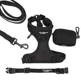 Paw Highness Dog Walking Harness, Collar, Leash & Poo Bag Holder Set in Black Large