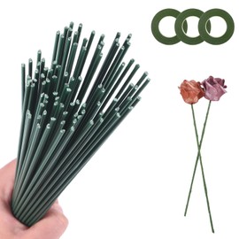 Pack of 100 Flower Wire Green with Florist Ribbon, 2 mm Flower Trunk Wire, Flexible Florist Wire 30 cm for DIY Flower Wire for Crafts, Robust Plug-In Wire Floristry for Flower Arrangements & Crafts