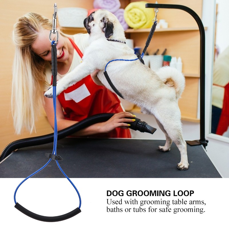 Dog Cat Grooming Single Noose Hoop for Pet Table Arm