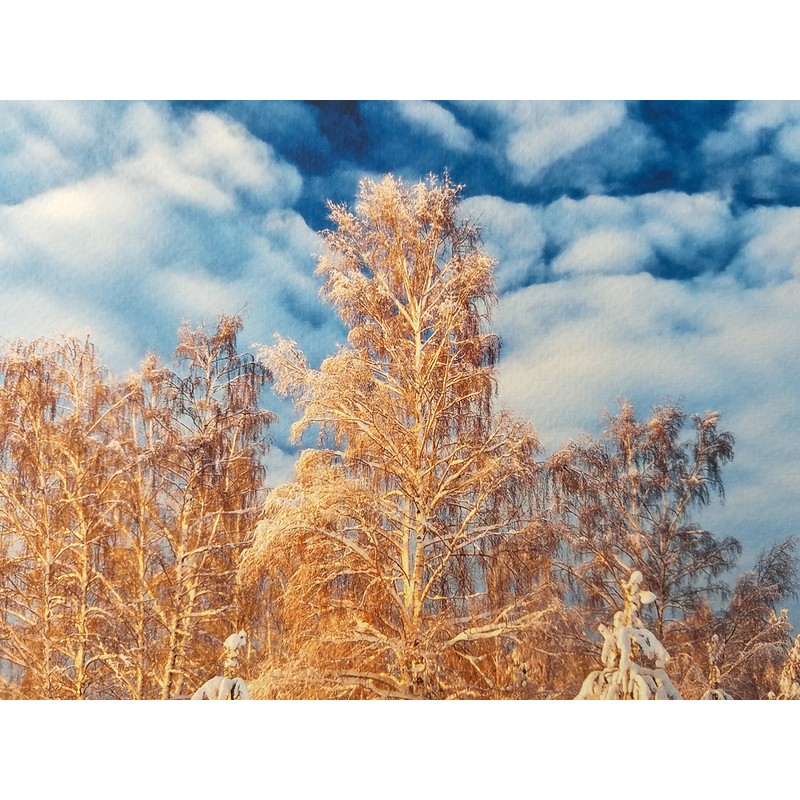 13" X 19" Cold Press Watercolor Fine Art Inkjet Paper