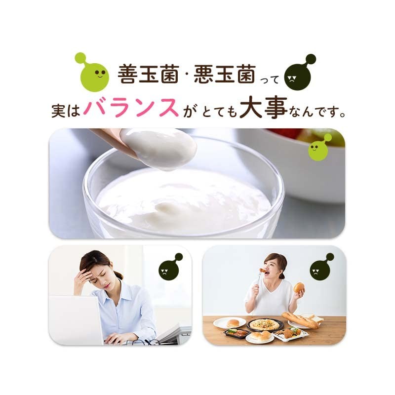 オーガランド (ogaland) 酪酸菌 (90粒 / 約3ヶ月分) 酪酸菌配合数 1粒あたり 約1200万個配合 (体内フローラ/トイレサポート)