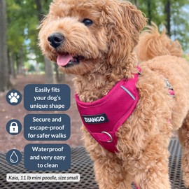 DJANGO Tahoe No Pull Dog Harness - Durable and Comfortable Neoprene Pet Harness for Dogs - Padded Pet Harness for Everyday Use - Adjustable Pet Harness Medium Dogs - Hibiscus Pink Medium Dog Harness