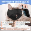BARKLESS Cat Calming Muzzle for Grooming & Nail Trimming, Oxford