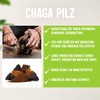 Chaga Mushroom Powder 100 g | Finely Ground from Wild