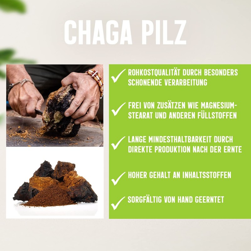 Chaga Mushroom Powder 100 g | Finely Ground from Wild
