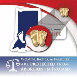 Heritage House '76 Precious Feet, Gold-Colored, Indiana Stats Card Jewelry, Lapel Pin