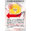 Bumbee Disposable Eyelash Brush, 200 Pcs Screw Brush, Eyebrow Brush,