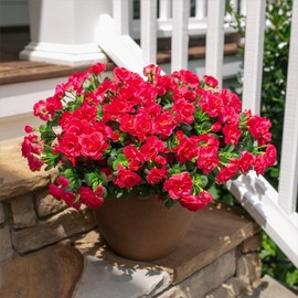 HyeFlora Artificial Faux Outdoor Flowers Plants for Spring Summer Decoration, Fake Silk Hotpink Camellia UV Resistant Look Real for Planter Outside Front Door Porch Patio Balcony, 3 Large Bundles