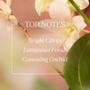 Neroli and Orchidee Shower Gel by LOccitane for Unisex -
