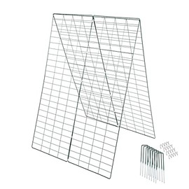 Coilyhill - Foldable Cucumber Trellis (34 x 48 Inches) - Perfect for Climbing Plant Support Frame Such As Peas, Squash, Vines or any Climbing Plants -Complete with 8 Securing Pegs