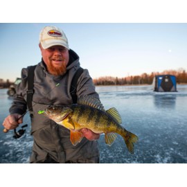 Northland Tackle Rigged Tungsten Pin Fry Ice Fishing Jig with Minnow Fry Body, 2 Pre-Rigged Jig Heads & 3 Extra Ice Fishing Plastics, Tungsten Jig Heads for Panfish, 1/28 Oz, Woodtick