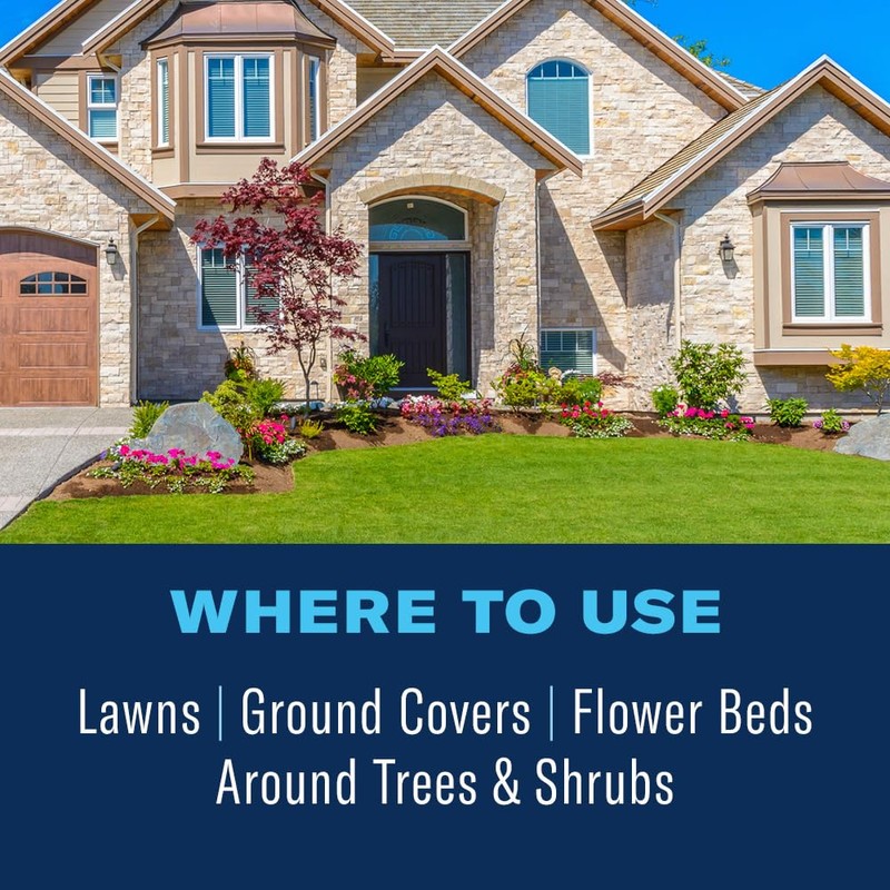 BioAdvanced Season Long Grub Control Plus Turf Revitalizer, Granules, 12