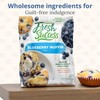 Concord Foods Blueberry Muffin Mix | Easy Bake Bread Mix