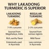 Go-Yogik Lakadong Turmeric Powder-5.3oz, High Curcumin -Lab Tested | Superfood